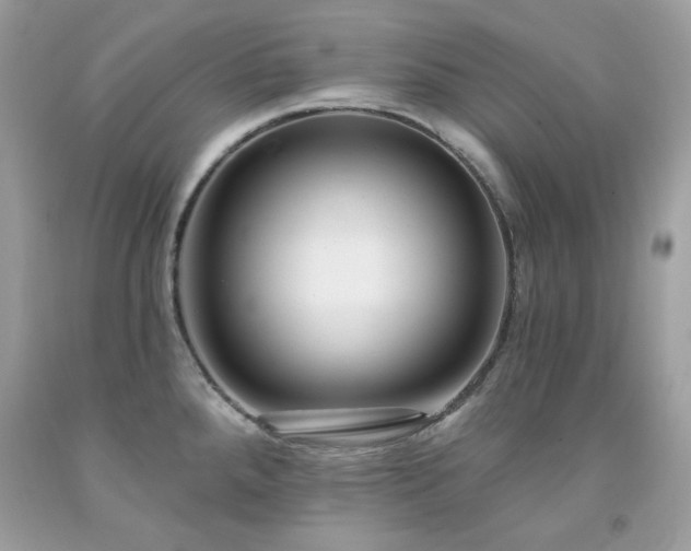 X0000091931288200709121551