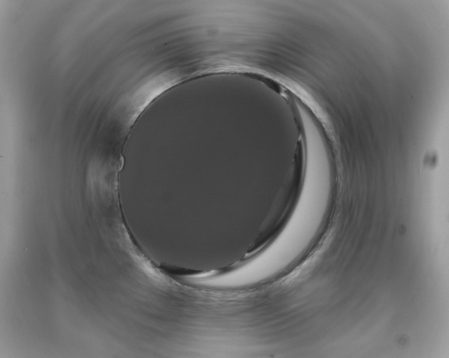X0000091931289200709121551