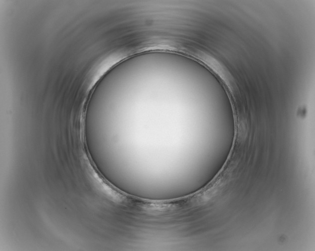X0000091931290200709121551