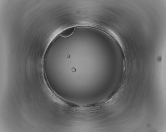 X0000091931291200709121551