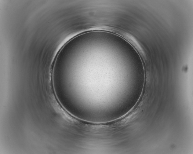 X0000091931292200709121551