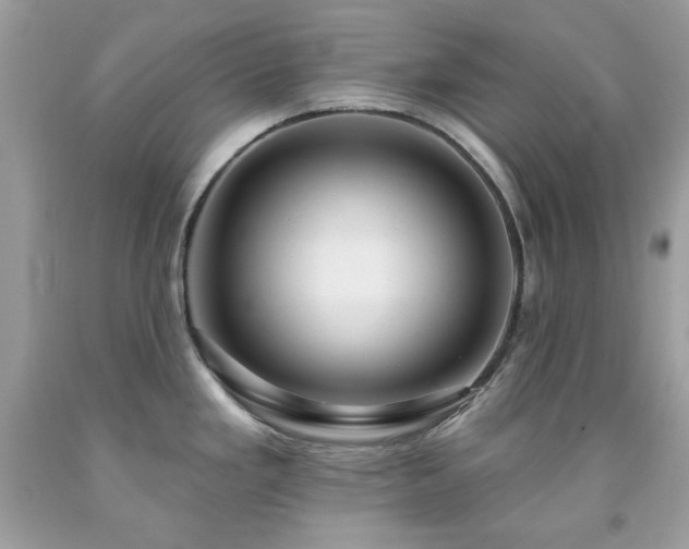 X0000091931293200709121551