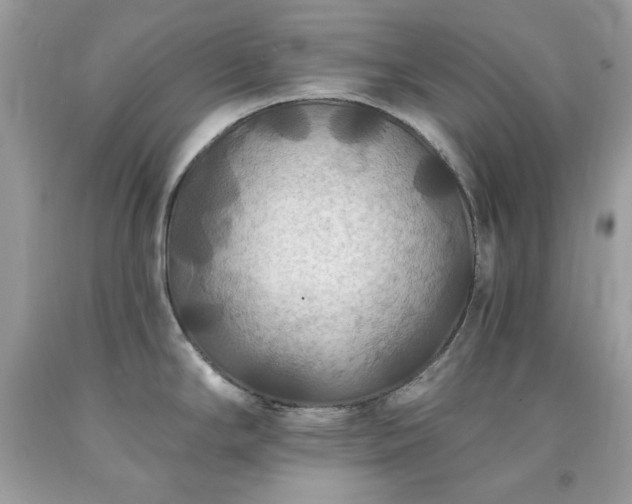 X0000091931294200709121551