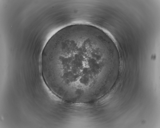 X0000091931295200709121551