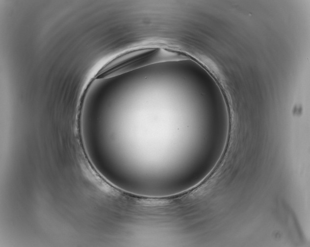 X0000091931296200709121551
