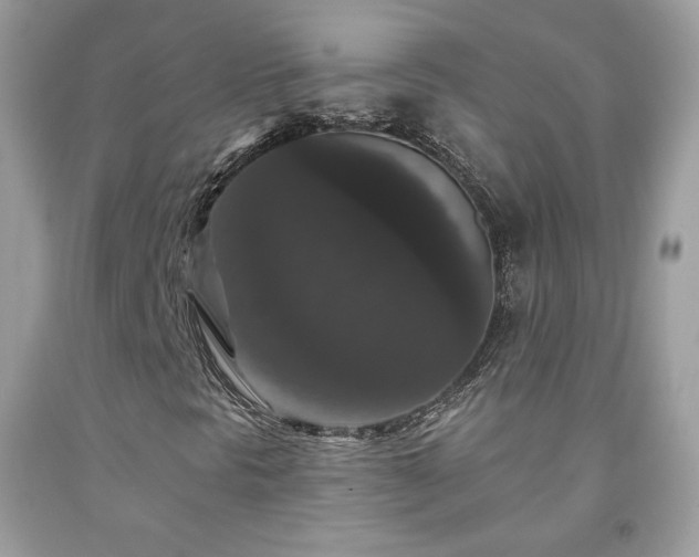 X0000091931297200709121551