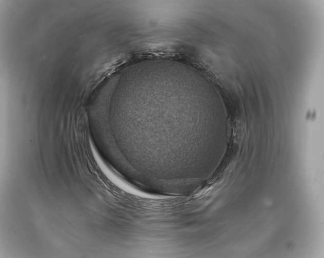X0000091931298200709121551