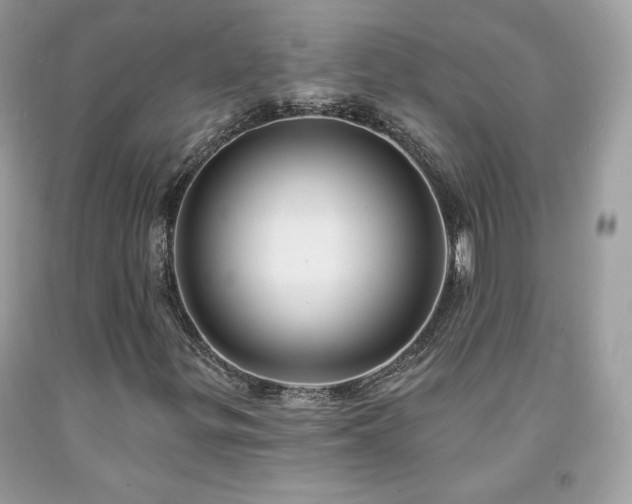 X0000091931299200709121551