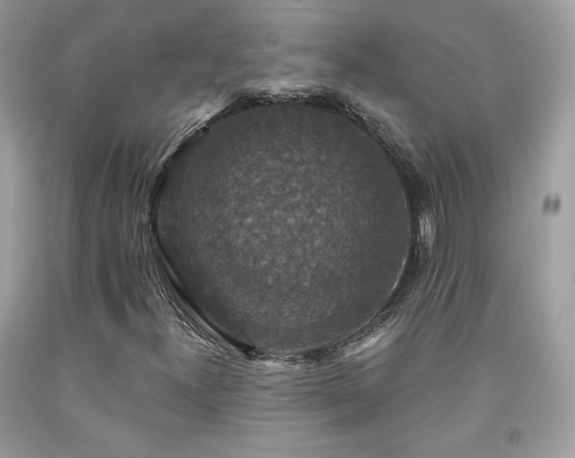 X0000091931300200709121551
