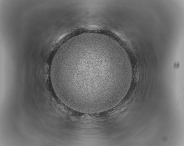 X0000091931301200709121551