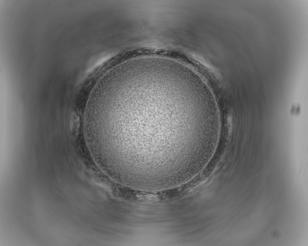 X0000091931302200709121551