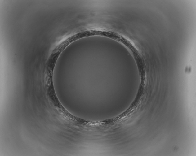 X0000091931303200709121551