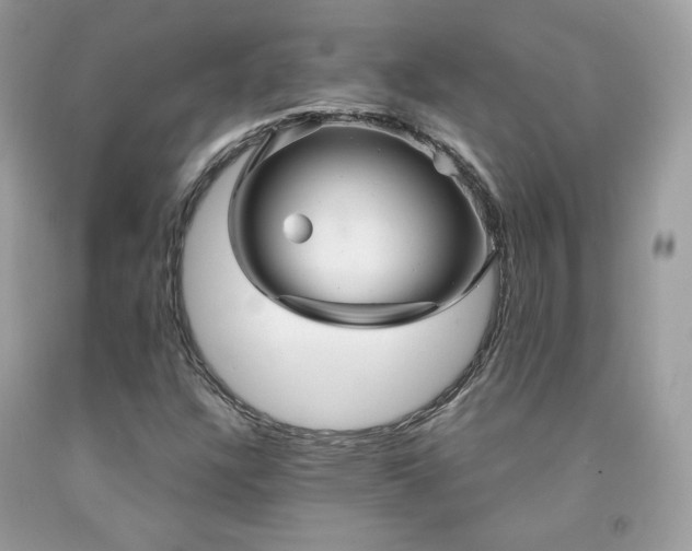 X0000091931304200709121551
