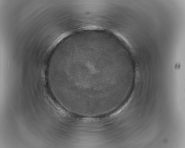 X0000091931305200709121551