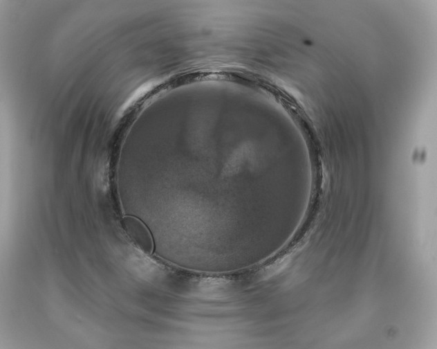 X0000091931306200709121551