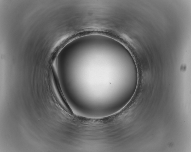 X0000091931307200709121551