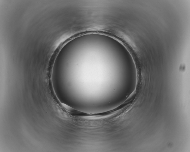 X0000091931308200709121551