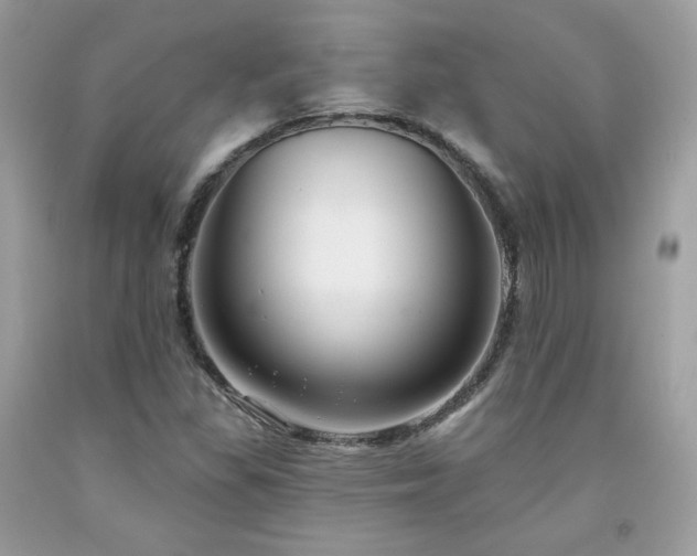 X0000091931309200709121551