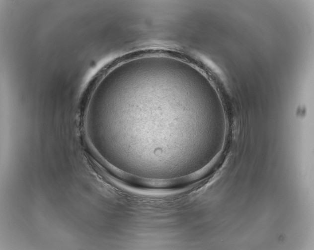 X0000091931310200709121551