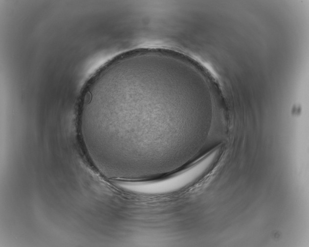 X0000091931311200709121551