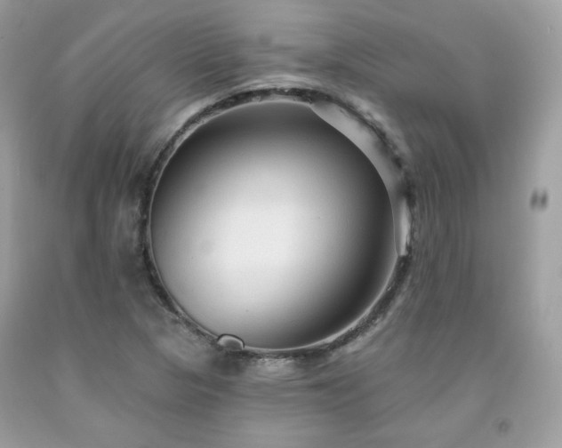 X0000091931313200709121551