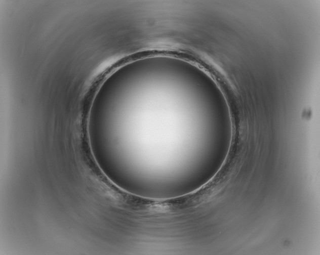 X0000091931315200709121551