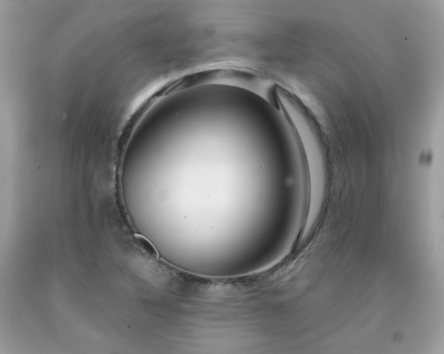 X0000091931316200709121551