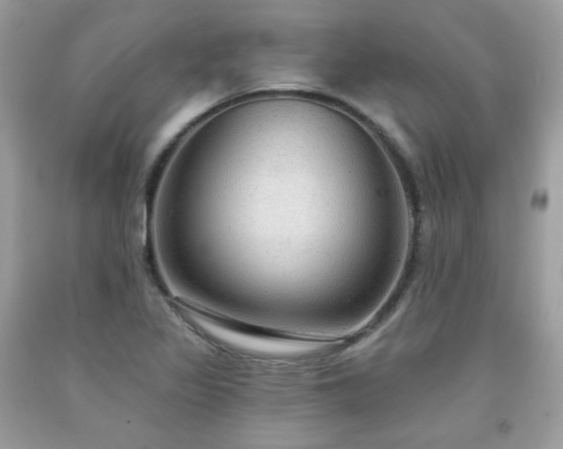 X0000091931317200709121551