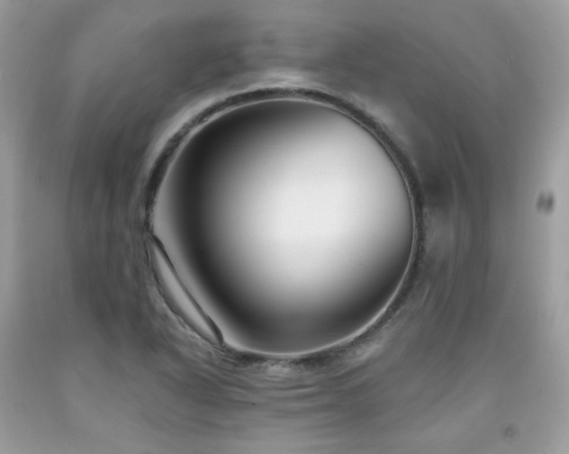X0000091931318200709121551