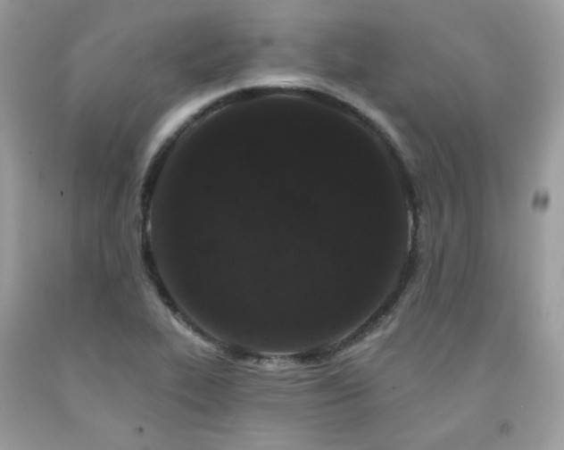 X0000091931319200709121551