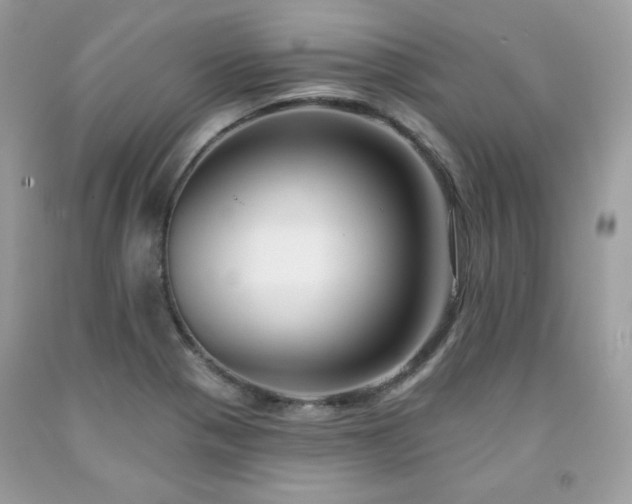 X0000091931321200709121551