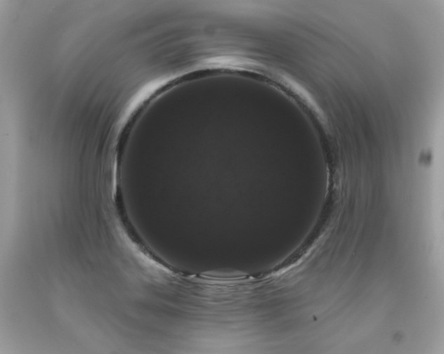 X0000091931323200709121551