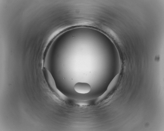 X0000091931324200709121551