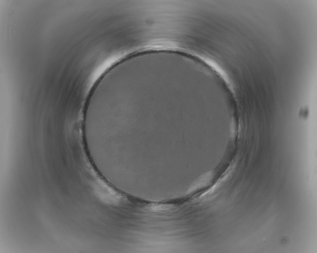 X0000091931325200709121551