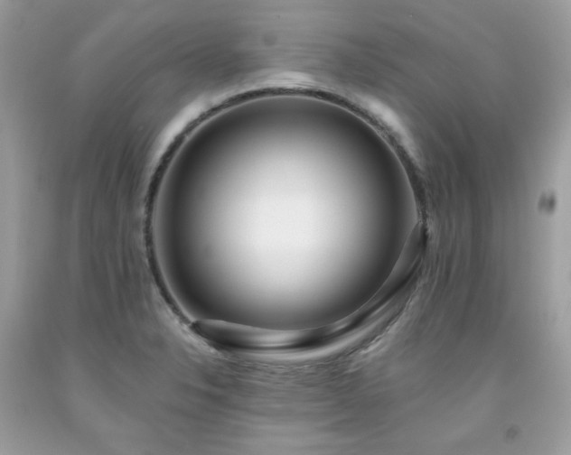 X0000091931326200709121551