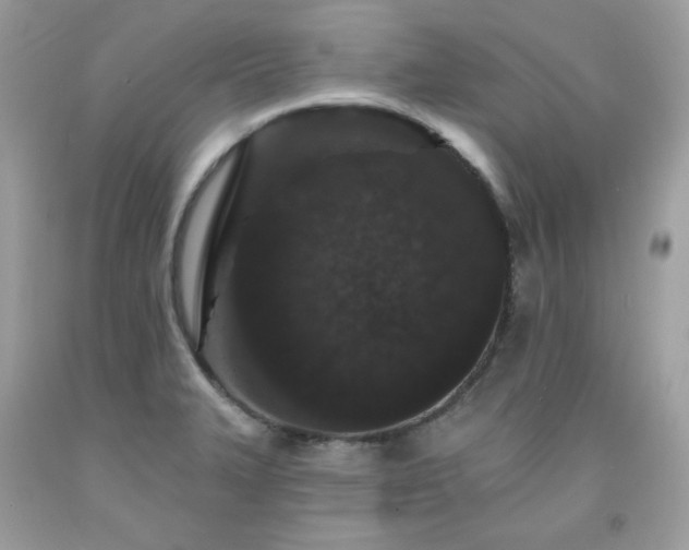 X0000091931327200709121551