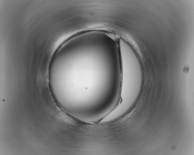 X0000091931328200709121551