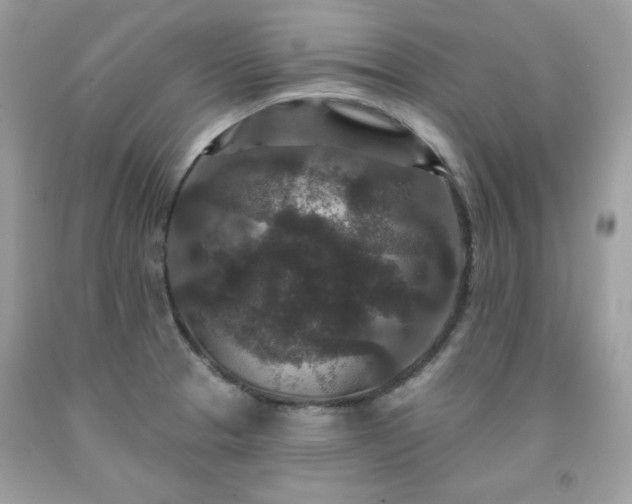 X0000091931329200709121551