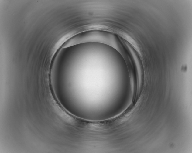 X0000091931330200709121551