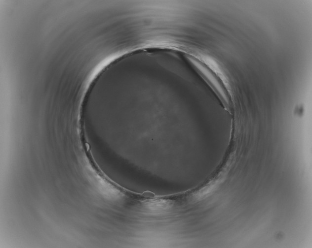 X0000091931331200709121551