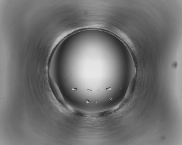 X0000091931332200709121551