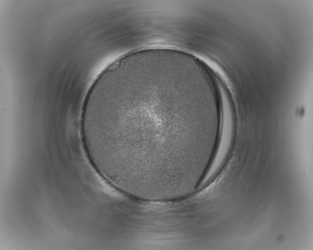 X0000091931333200709121551