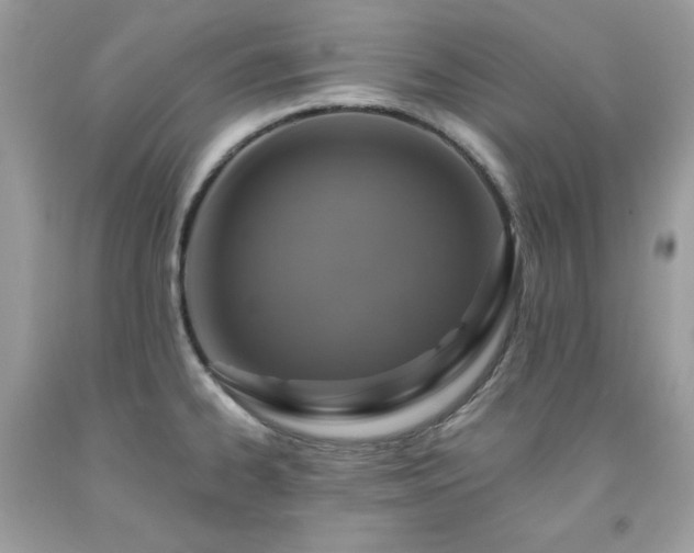 X0000091931334200709121551