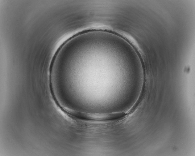 X0000091931335200709121551