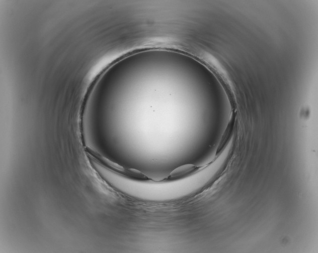 X0000091931336200709121551