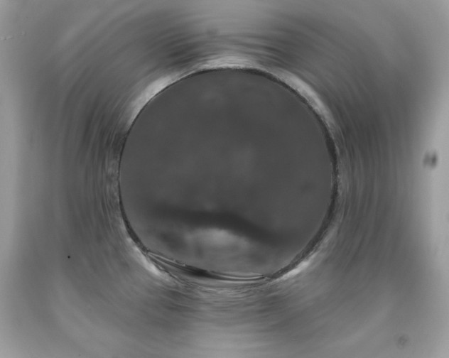 X0000091931337200709121551