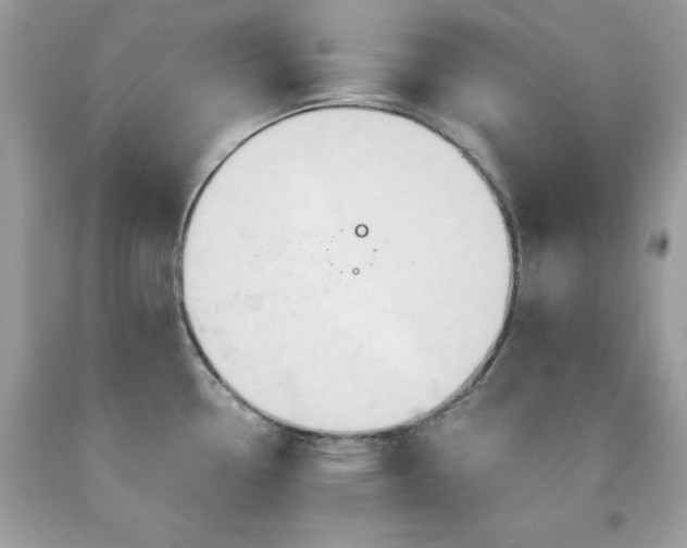 X0000091931338200709121551