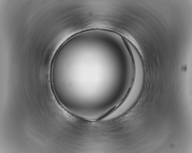 X0000091931339200709121551