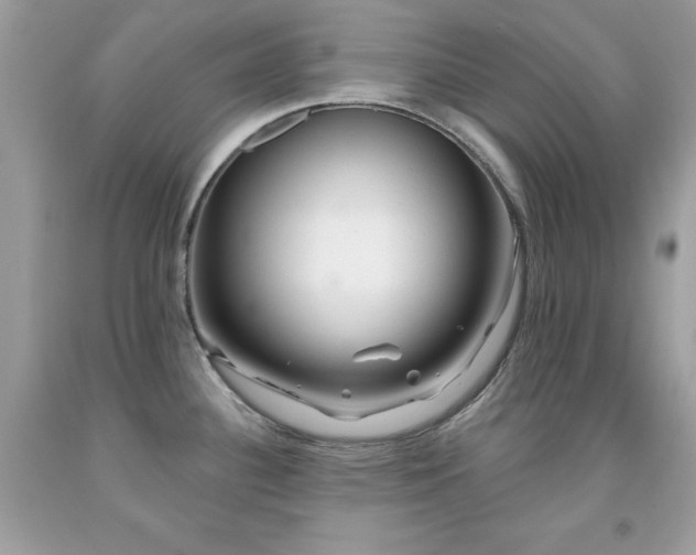 X0000091931340200709121551