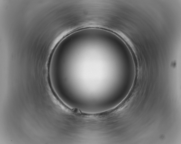 X0000091931341200709121551